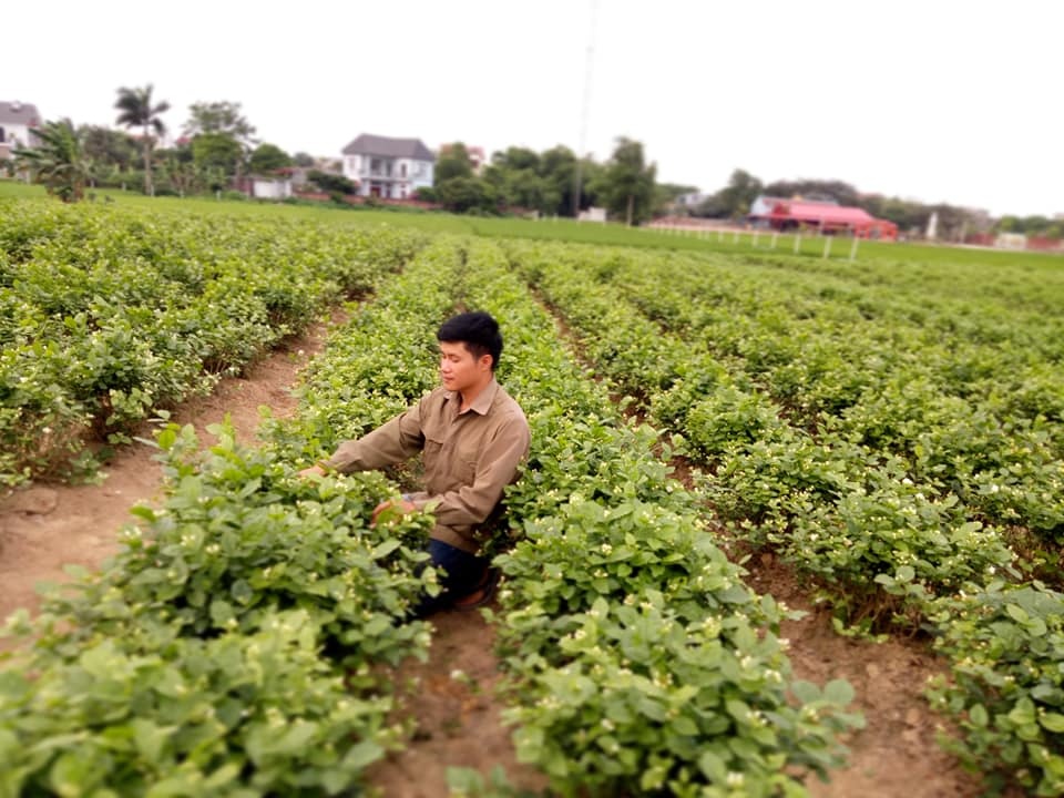 dam me trong che uop sen chang cu nhan bao chi roi thanh pho ve que khoi nghiep