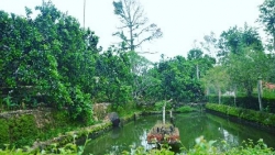 ky la lang noi phet o bac giang khien du khach nga ngua