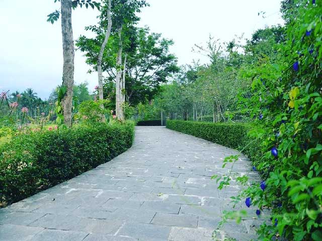 lang co dep nhu tranh ve tren que huong cu huynh thuc khang