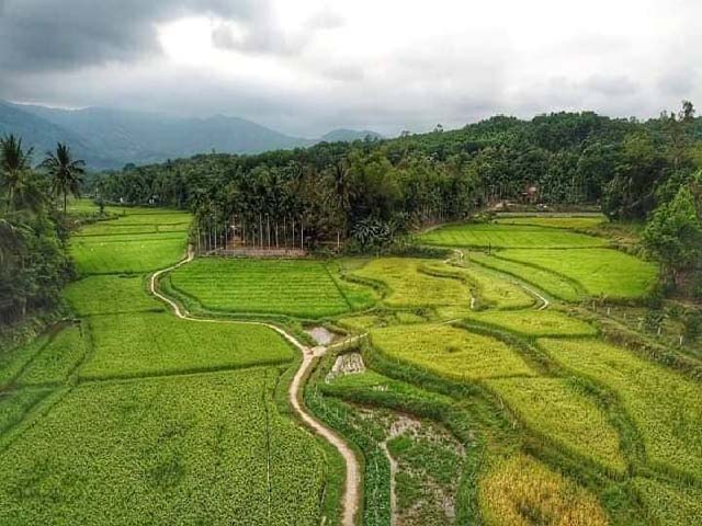 lang co dep nhu tranh ve tren que huong cu huynh thuc khang