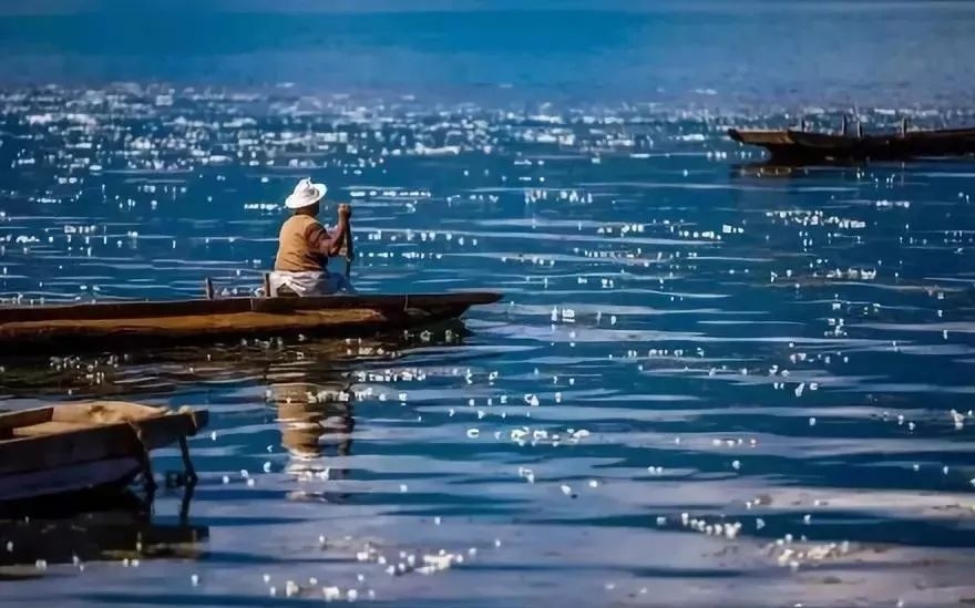 ngam loai hoa tinh khiet bac nhat chi song tren mat ho thanh tinh