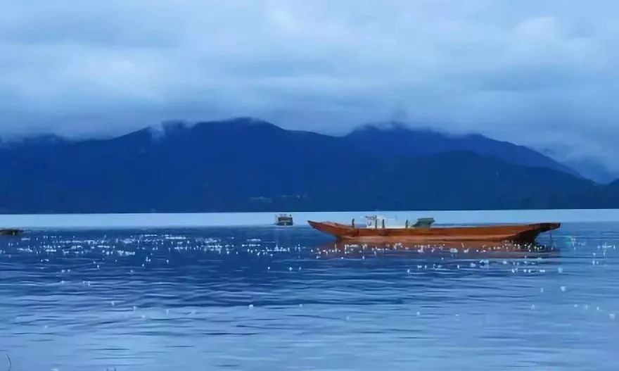 ngam loai hoa tinh khiet bac nhat chi song tren mat ho thanh tinh