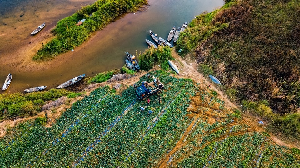 Quảng Ngãi đẹp hùng vĩ, thanh bình trong loạt ảnh flycam quang ngai dep hung vi thanh binh trong loat anh flycam