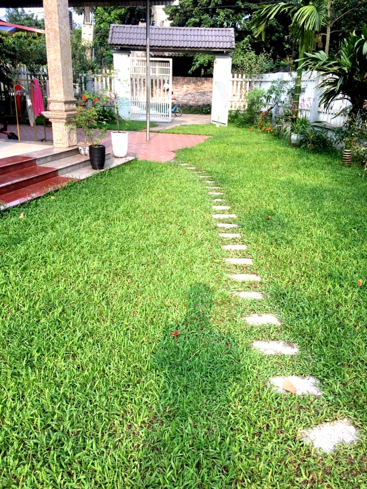 san vuon 100m2 mua nao rau nay ga tha chay bo co moc tu nhien khien nguoi thanh pho cung me