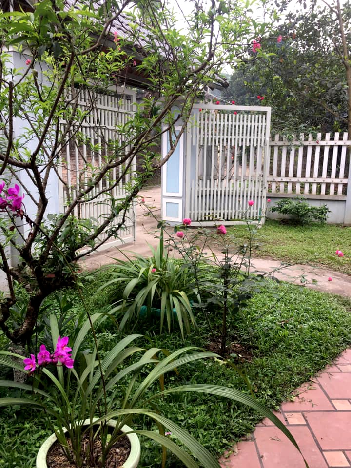 san vuon 100m2 mua nao rau nay ga tha chay bo co moc tu nhien khien nguoi thanh pho cung me