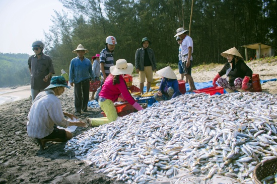 doc dao nghe keo luoi rong tren bien vinh hien