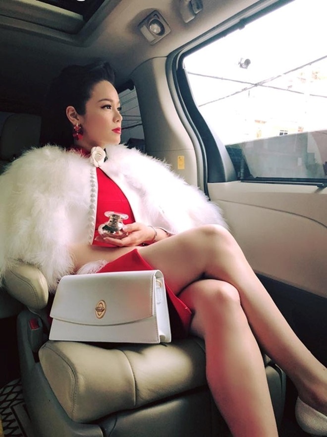 bi mat trom 5 ty dong ca sy nhat kim anh giau co co nao