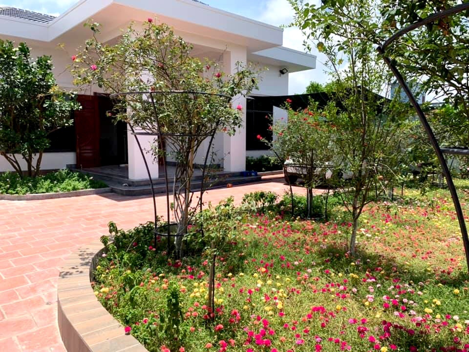Nhà rộng 800m2 nhưng dành nửa diện tích để trồng hoa và rau sạch nha rong 800m2 nhung danh nua dien tich de trong hoa va rau sach