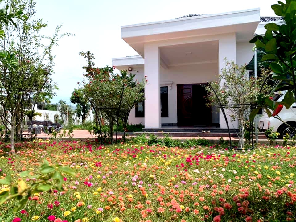 Nhà rộng 800m2 nhưng dành nửa diện tích để trồng hoa và rau sạch nha rong 800m2 nhung danh nua dien tich de trong hoa va rau sach