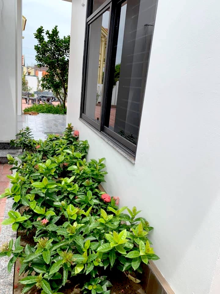 Nhà rộng 800m2 nhưng dành nửa diện tích để trồng hoa và rau sạch nha rong 800m2 nhung danh nua dien tich de trong hoa va rau sach