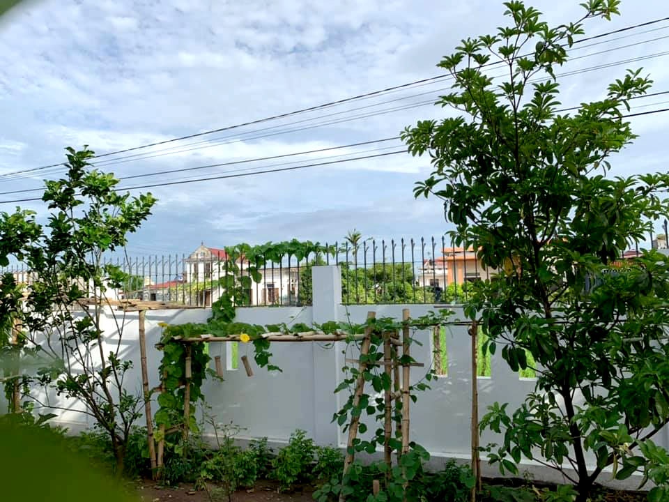 Nhà rộng 800m2 nhưng dành nửa diện tích để trồng hoa và rau sạch nha rong 800m2 nhung danh nua dien tich de trong hoa va rau sach