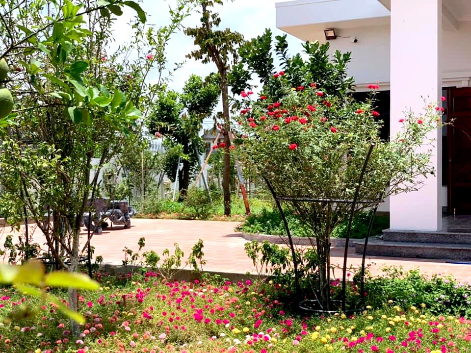Nhà rộng 800m2 nhưng dành nửa diện tích để trồng hoa và rau sạch nha rong 800m2 nhung danh nua dien tich de trong hoa va rau sach