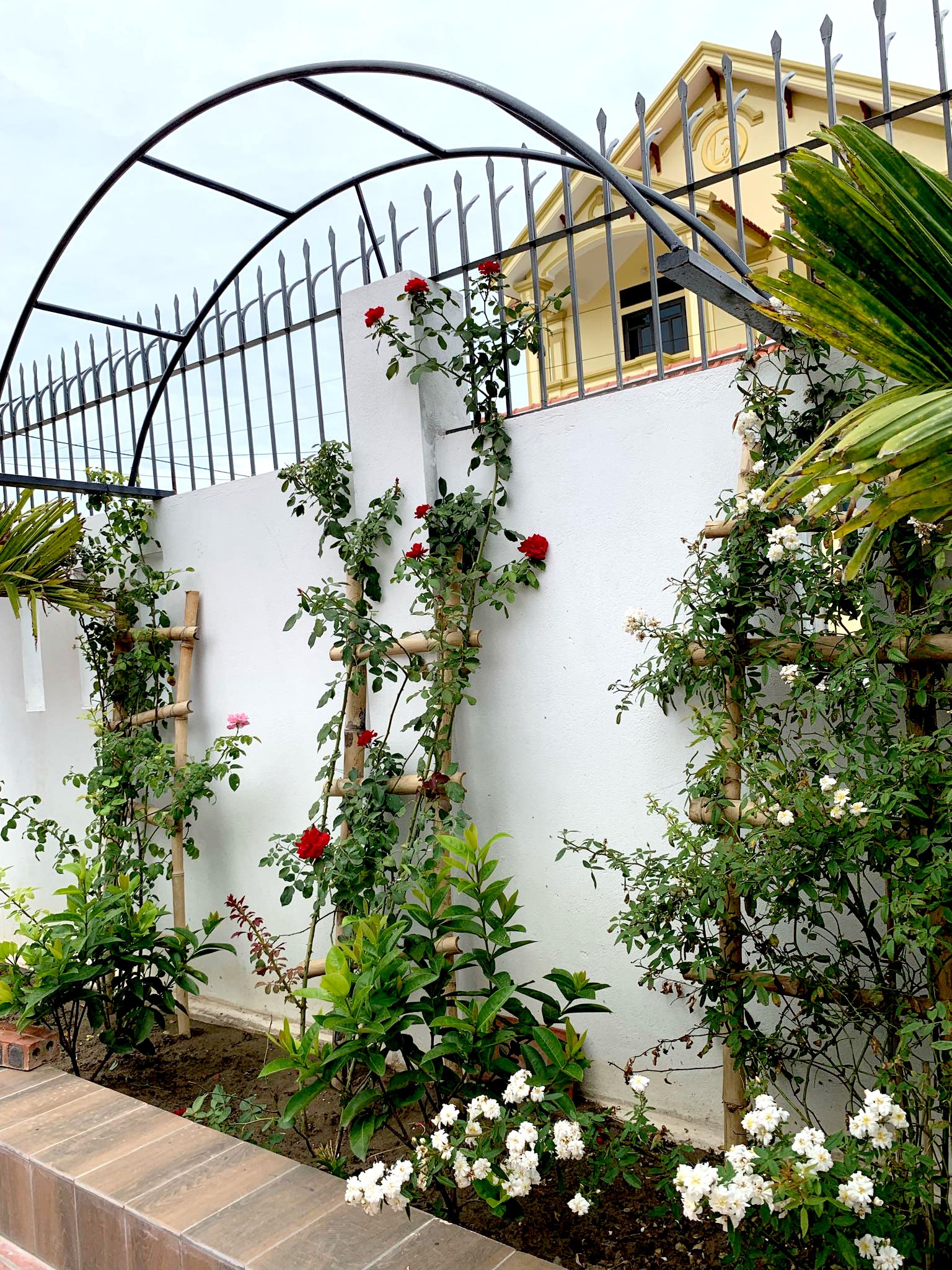 Nhà rộng 800m2 nhưng dành nửa diện tích để trồng hoa và rau sạch nha rong 800m2 nhung danh nua dien tich de trong hoa va rau sach