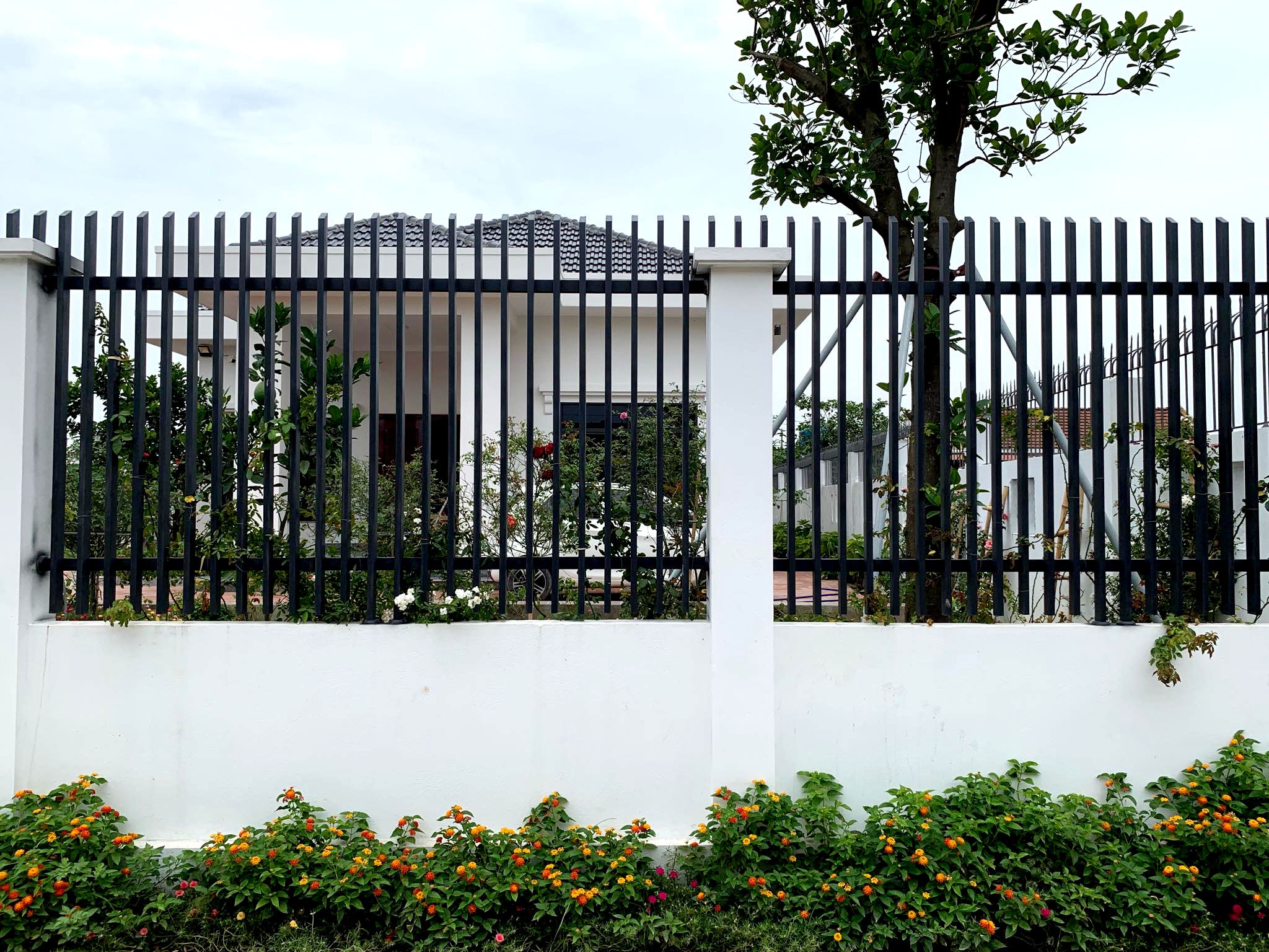 Nhà rộng 800m2 nhưng dành nửa diện tích để trồng hoa và rau sạch nha rong 800m2 nhung danh nua dien tich de trong hoa va rau sach
