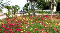 nha rong 800m2 nhung danh nua dien tich de trong hoa va rau sach