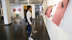 giam dinh tranh chua het lo