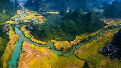 ngoi dinh co tung la noi day hoc o sai gon