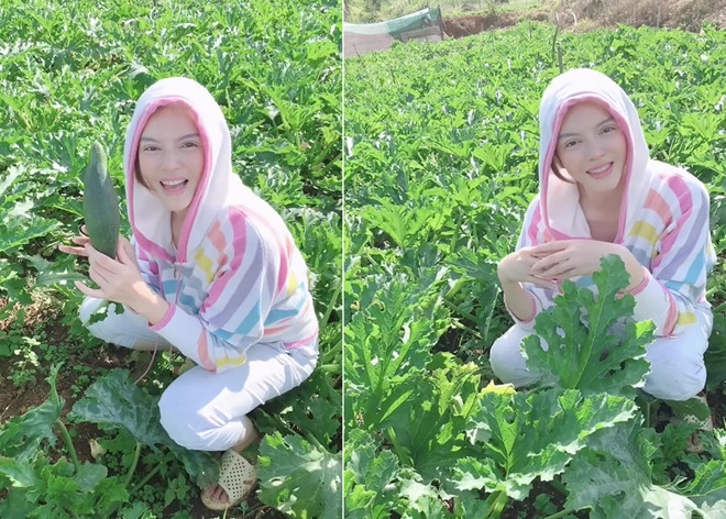 sao viet va cuoc song trong rau nuoi ga o nhung nong trai tien ty