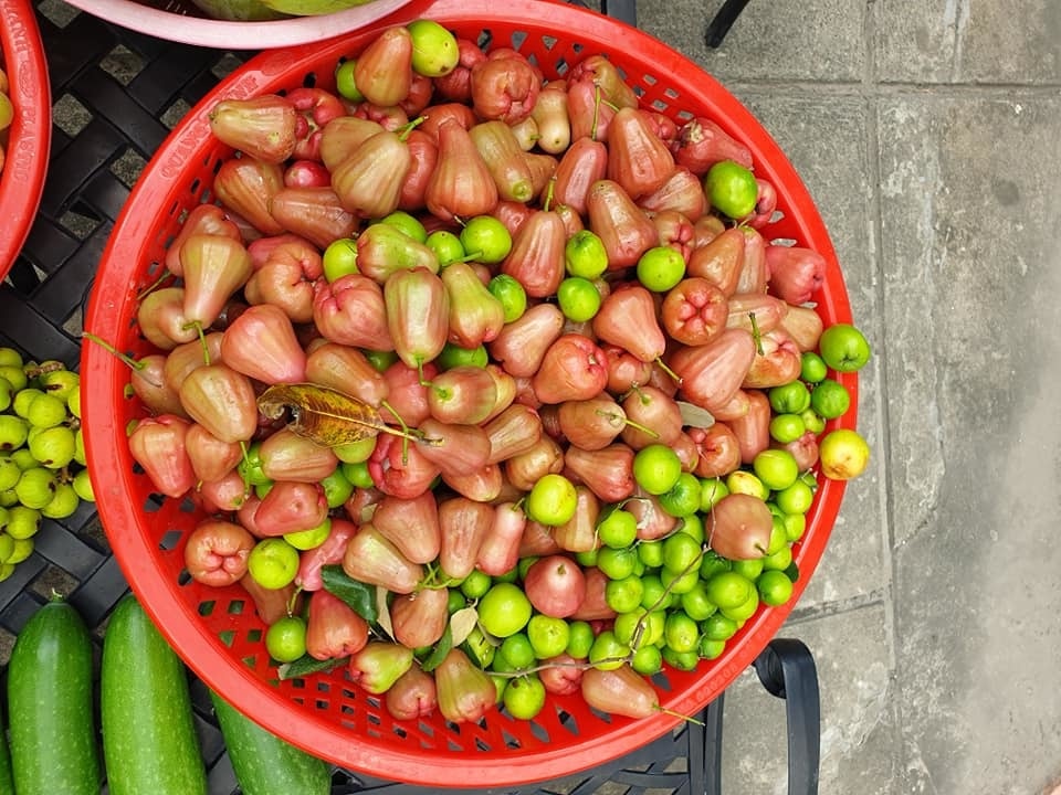 sao viet va cuoc song trong rau nuoi ga o nhung nong trai tien ty