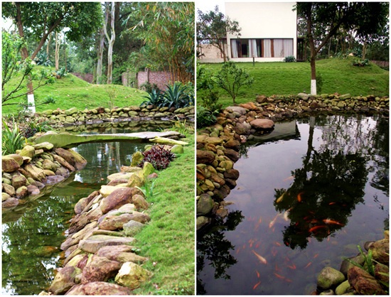 sao viet va cuoc song trong rau nuoi ga o nhung nong trai tien ty