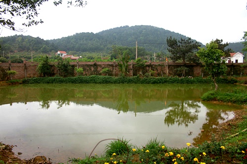 sao viet va cuoc song trong rau nuoi ga o nhung nong trai tien ty