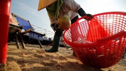 bai chay don 6 tan rac moi ngay dan mang buc xuc nhat rac hay nhat y thuc nguoi dan