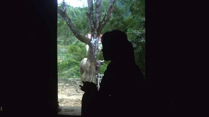 so phan phu nu viet bi ban sang trung quoc bi cuong hiep bi danh bi bat lam vo