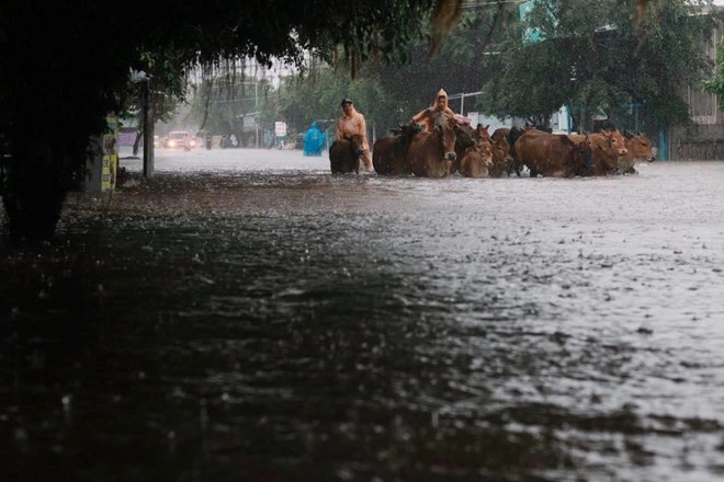 phu quoc vat lon voi ngap lut thiet hai hon 100 ty dong