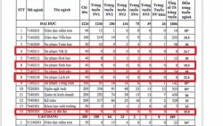 Lý do khiến các trường ĐH đồng loạt nâng điểm chuẩn để đánh trượt thí sinh