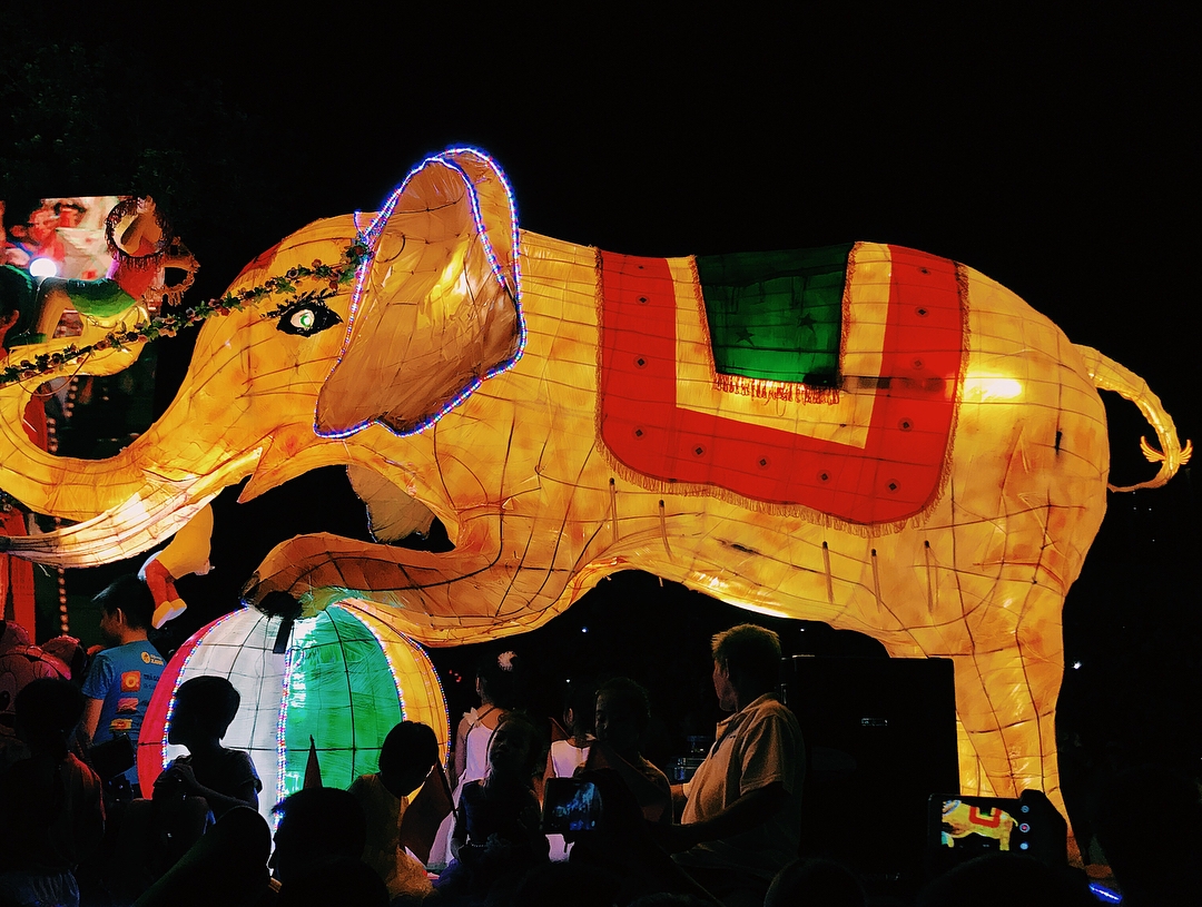 le hoi thanh tuyen 2019 dien ra vao ngay nao