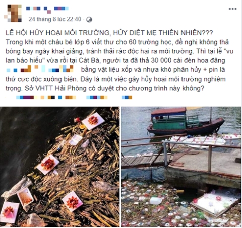 30000 den hoa dang duoc vot len va phoi ban gia re