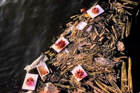 30000 den hoa dang duoc vot len va phoi ban gia re