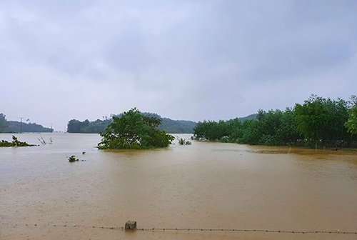 nhieu xa huyen mien trung ngap chim trong nuoc lu
