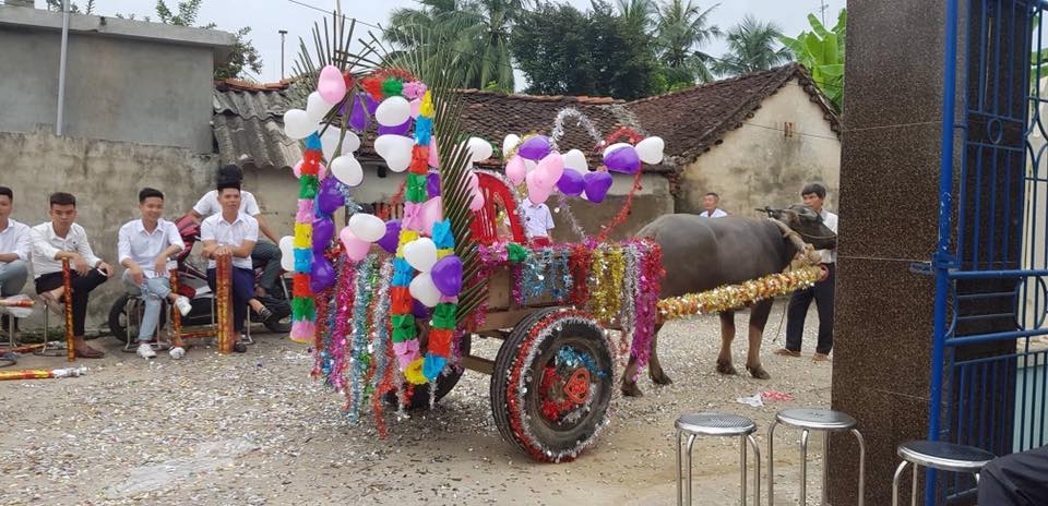 duoc ruoc dau bang xe trau co dau cuoi hanh phuc man nguyen