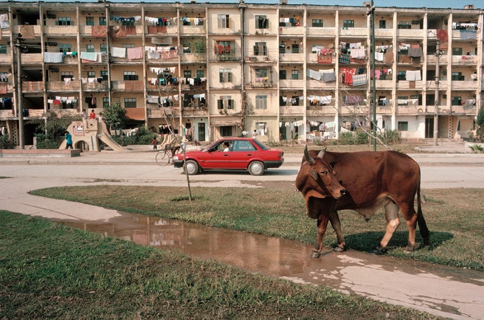 Việt Nam năm 1989 đẹp bình dị qua ống kính nhiếp ảnh gia người Mỹ viet nam nam 1989 dep binh di qua ong kinh nhiep anh gia nguoi my