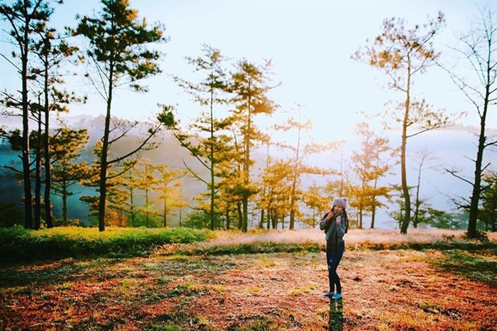 thang 12 du lich o dau len sapa bong benh may trang ve phu quoc tranh ret tam bien