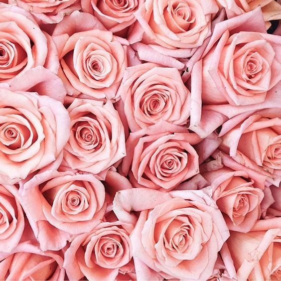 loi chuc 2010 hay y nghia nhat cho ngay phu nu viet nam