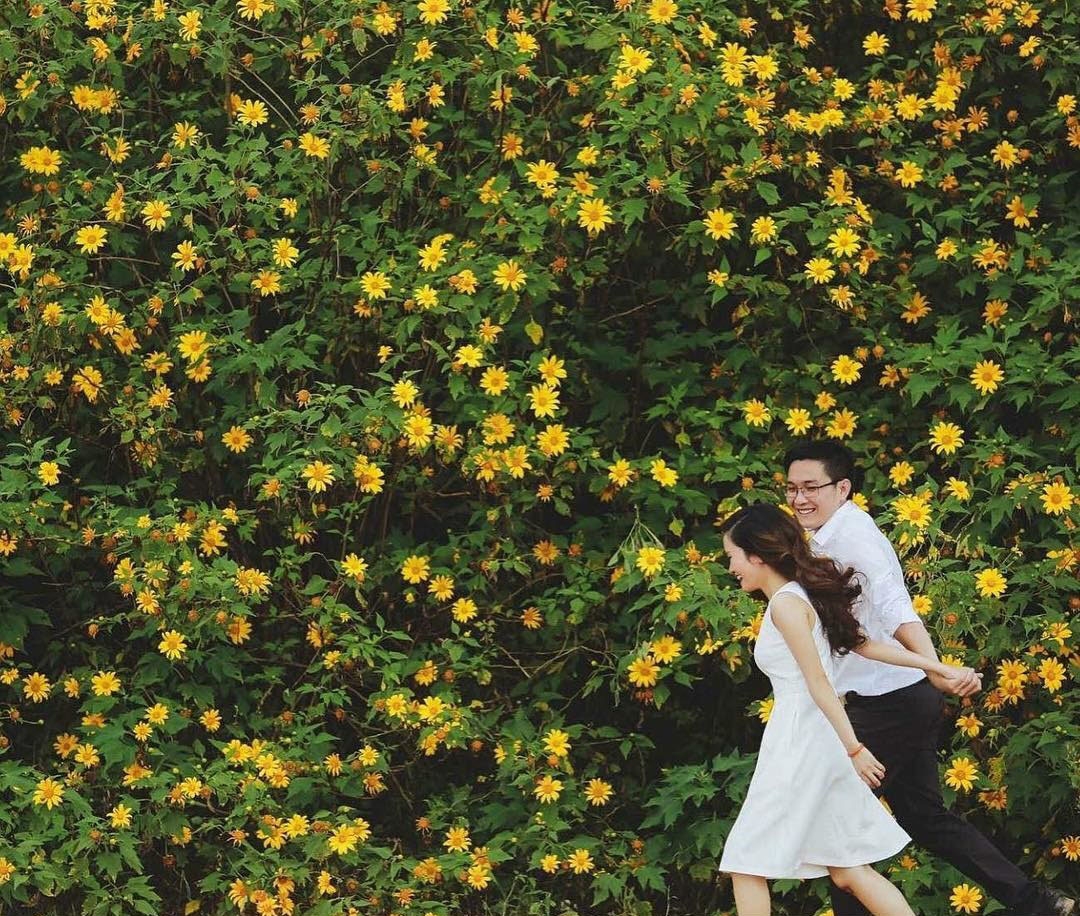 mua da quy no ro tu ba vi hung vi den da lat mong mo