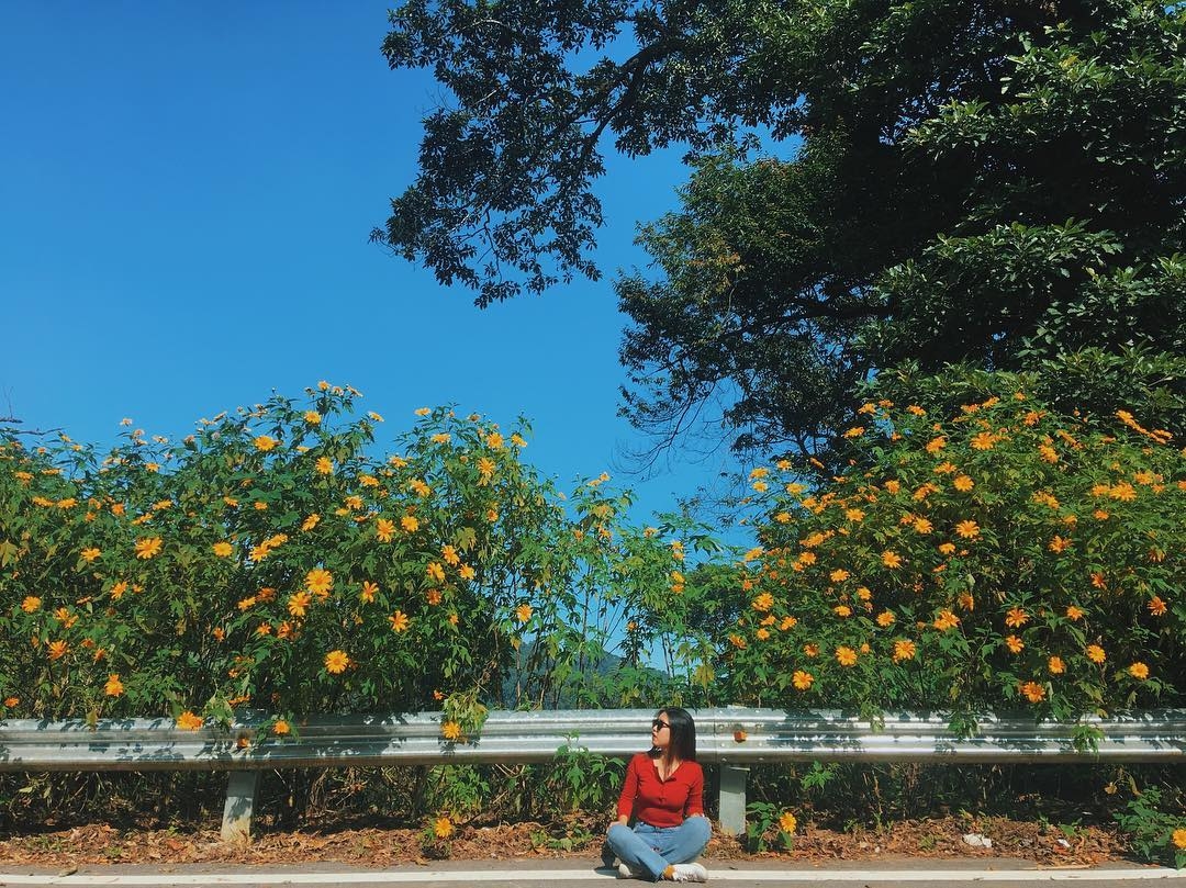 mua da quy no ro tu ba vi hung vi den da lat mong mo