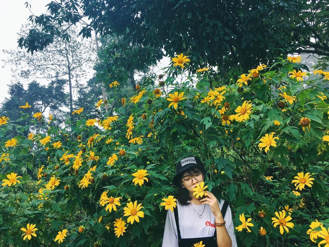 mua da quy no ro tu ba vi hung vi den da lat mong mo