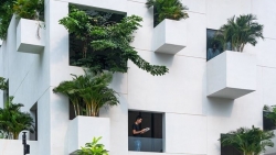 ngoi nha voi 10 manh vuon lo lung xanh mat giua sai gon nhon nhip