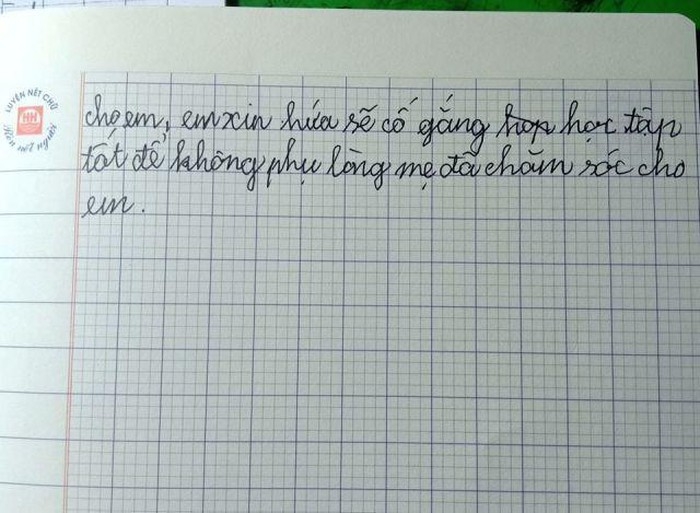 bai van ta me rang vang khe sau doi moi do cua hoc sinh lop 5 gay bao mang xa hoi