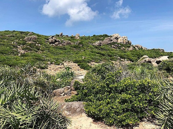 den quy nhon phai ghe cu lao xanh khong thi phi ca chuyen di