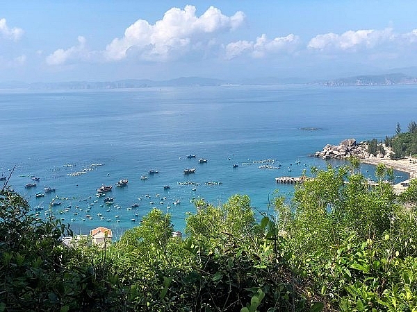 den quy nhon phai ghe cu lao xanh khong thi phi ca chuyen di