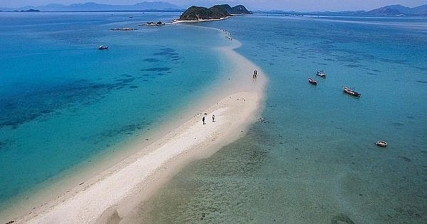 den quy nhon phai ghe cu lao xanh khong thi phi ca chuyen di