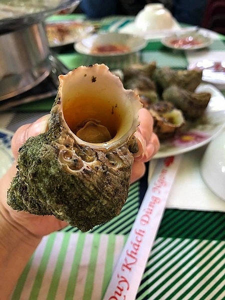 den quy nhon phai ghe cu lao xanh khong thi phi ca chuyen di