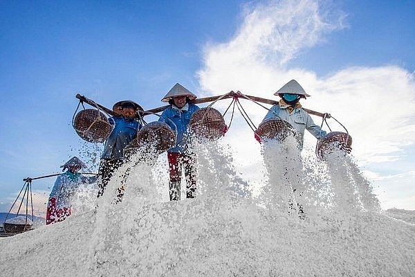 thi xa ninh hoa khanh hoa noi chay tron xo bo de tim ve coi an yen