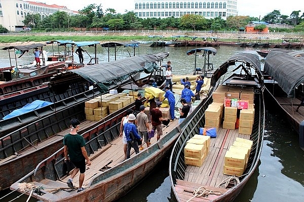 nhung nghe chi o vung bien moi co