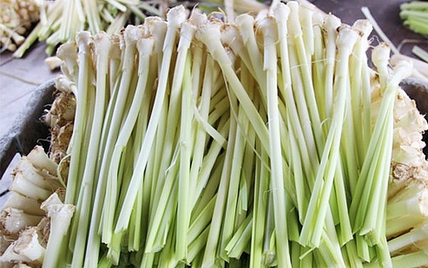 tham lai nha cong tu bac lieu va thuong thuc mi vi la lung cua xu don ca tai tu