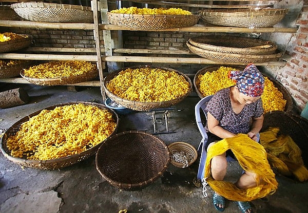 khong chi co nghe nau pho tru danh nam dinh con co rat nhieu nganh nghe noi tieng ca nuoc